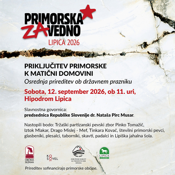 OSREDNJA PRIREDITEV OB DRŽAVNEM PRAZNIKU
