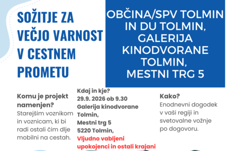 DELAVNICA ZA STAREJŠE VOZNICE IN VOZNIKE