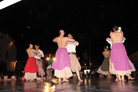 IMG_0409