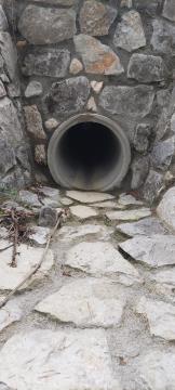 20220808_110201-scaled