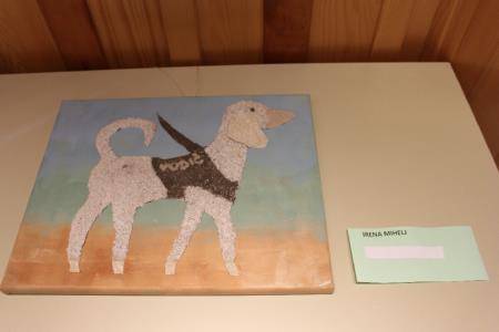 Foto07