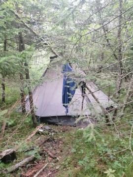 FB_IMG_1690884683165