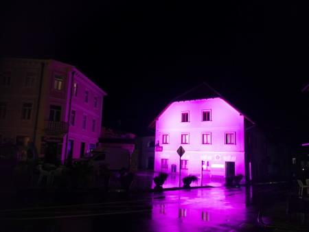 STERGULČEVA HIŠA VIJOLIČASTA 1