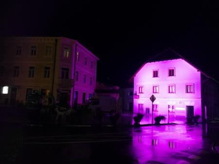 STERGULČEVA HIŠA VIJOLIČASTA 2