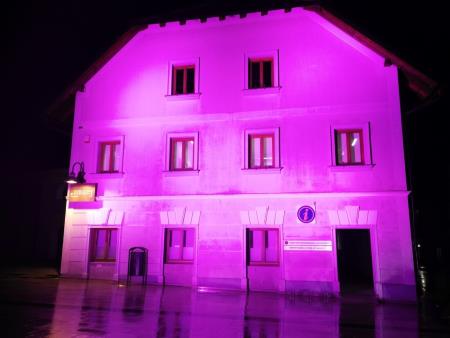 STERGULČEVA HIŠA VIJOLIČASTA 3