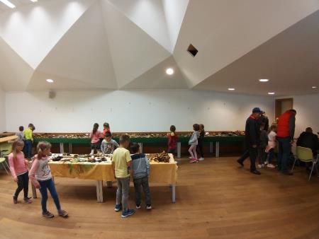 15. GOBARSKA RAZSTAVA V BOVCU 2