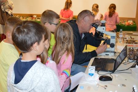 15. GOBARSKA RAZSTAVA V BOVCU 4