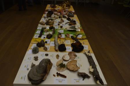 15. GOBARSKA RAZSTAVA V BOVCU 8