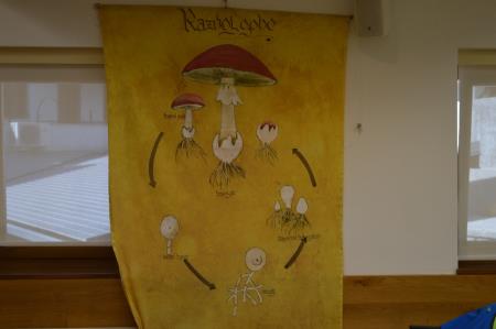 15. GOBARSKA RAZSTAVA V BOVCU 9