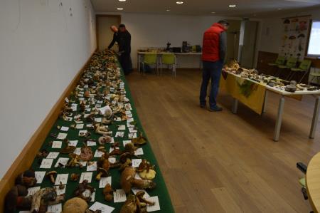 15. GOBARSKA RAZSTAVA V BOVCU 11