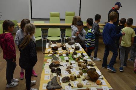 15. GOBARSKA RAZSTAVA V BOVCU 15