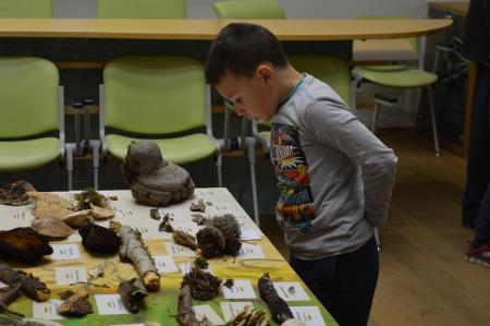 15. GOBARSKA RAZSTAVA V BOVCU 16