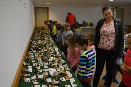 15. GOBARSKA RAZSTAVA V BOVCU 18