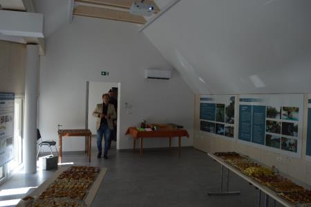 SLOVESNO ODPRTJE ZGORNJIH PROSTOROV RIBIŠKE HIŠE 14