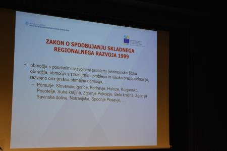 SLOVENSKI REGIONALNI DNEVI 2019 13