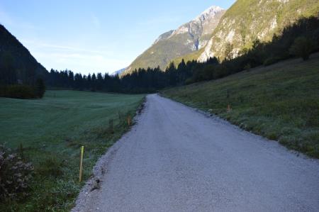 ASFALTIRANJE CESTE KLUŽE – BAVŠICA 14