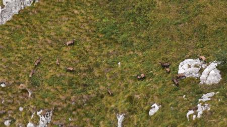 POHOD ČEZ SKUTNIK V REZIJO 4