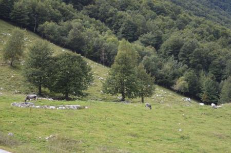POHOD ČEZ SKUTNIK V REZIJO 17