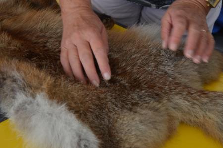 SREČANJE SLEPIH IN SLABOVIDNIH IZ VSE SLOVENIJE NA KANINU 21