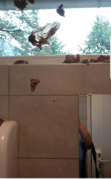 VANDALI SE ZNAŠAJO NAD JAVNIM STRANIŠČEM 1