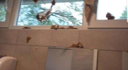 VANDALI SE ZNAŠAJO NAD JAVNIM STRANIŠČEM 4