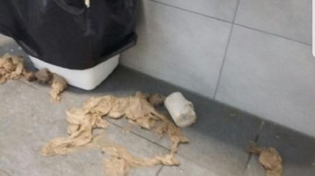 VANDALI SE ZNAŠAJO NAD JAVNIM STRANIŠČEM 5