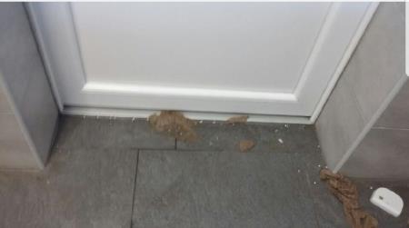 VANDALI SE ZNAŠAJO NAD JAVNIM STRANIŠČEM 6