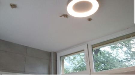 VANDALI SE ZNAŠAJO NAD JAVNIM STRANIŠČEM 8