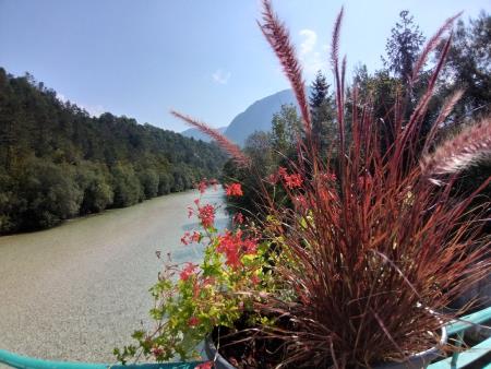 VANDALI SE ZNAŠAJO NAD JAVNIM STRANIŠČEM 11