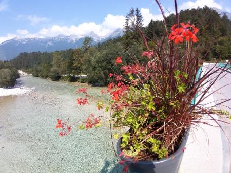 VANDALI SE ZNAŠAJO NAD JAVNIM STRANIŠČEM 12