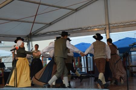 FOLKLORNI FESTIVAL 9