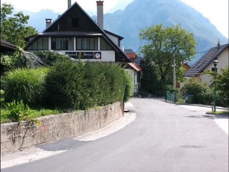 CESTA BOVŠKI TRG-KANINSKA VAS PREPLASTENA 1