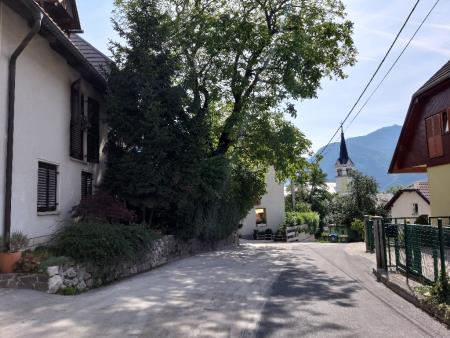 CESTA BOVŠKI TRG-KANINSKA VAS PREPLASTENA 2