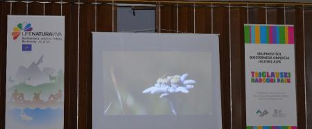 OSNOVNA ŠOLA BOVEC PREJELA CERTIFIKAT BIOSFERNEGA OBMOČJA JULIJSKE ALPE 6