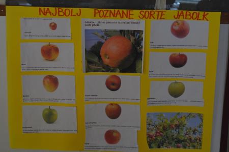 TRADICIONALNI SLOVENSKI ZAJTRK 11