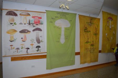 14. GOBARSKA RAZSTAVA V BOVCU 2