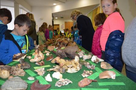 14. GOBARSKA RAZSTAVA V BOVCU 3