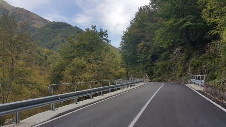 DELA NA CESTI ŽAGA – UČJA ZAKLJUČENA 6