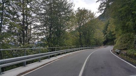 DELA NA CESTI ŽAGA – UČJA ZAKLJUČENA 7