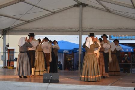 MEDNARODNO SREČANJE FOLKLORNIH SKUPIN 10