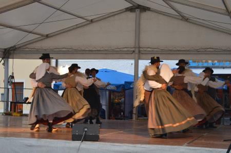 MEDNARODNO SREČANJE FOLKLORNIH SKUPIN 11