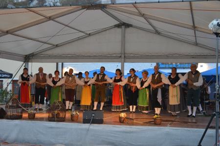 MEDNARODNO SREČANJE FOLKLORNIH SKUPIN 14