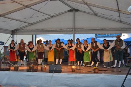 MEDNARODNO SREČANJE FOLKLORNIH SKUPIN 15