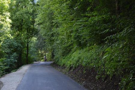 ZAKLJUČNA DELA NA CESTI ČEZSOČA-JABLANCA 5