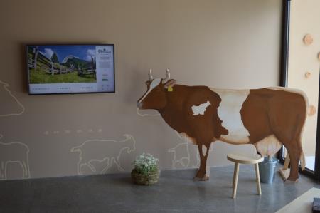 ODPRTJE OGLEDNEGA POSESTVA BOGATA BOVEC 6