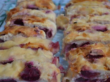 ODPRTJE OGLEDNEGA POSESTVA BOGATA BOVEC 31