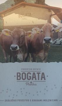 OGLEDNO POSESTVO BOGATA BOVEC 2