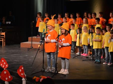 FESTIVAL OTROŠKIH PESMI IN PLESOV 38
