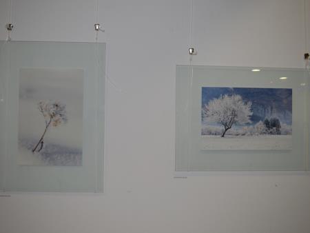 RAZSTAVA »BELA« 11