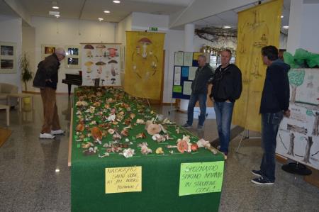 13. GOBARSKA RAZSTAVA V BOVCU 4